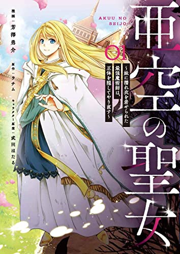 亜空の聖女 ~妹に濡れ衣を着せられた最強魔術師は、正体を隠してやり直す~ (01)