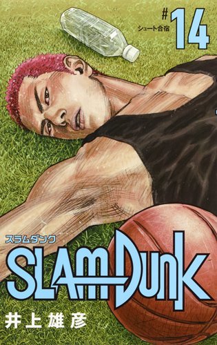 SLAM DUNK 新装再編版 (14)