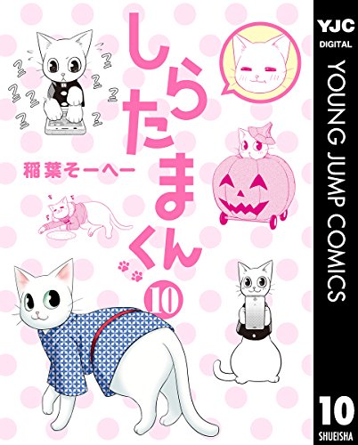 しらたまくん (10)