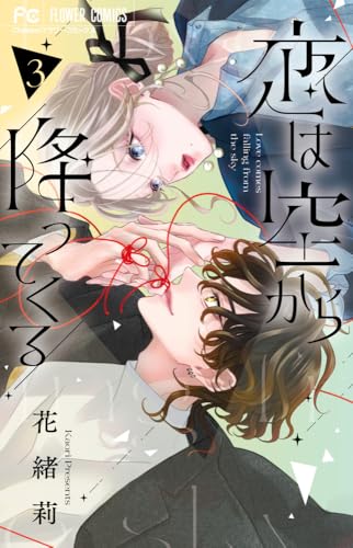 恋は空から降ってくる (3)