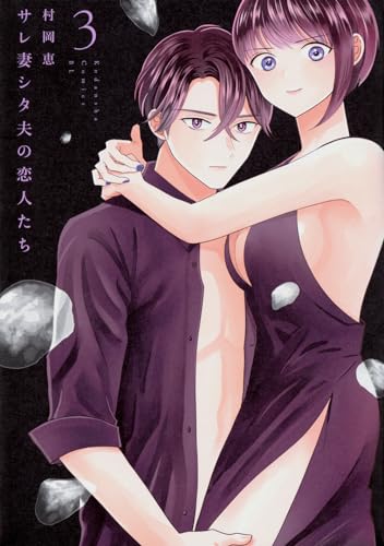 サレ妻シタ夫の恋人たち (3)