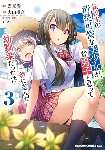 転校先の清楚可憐な美少女が、昔男子と思って一緒に遊んだ幼馴染だった件 (3)