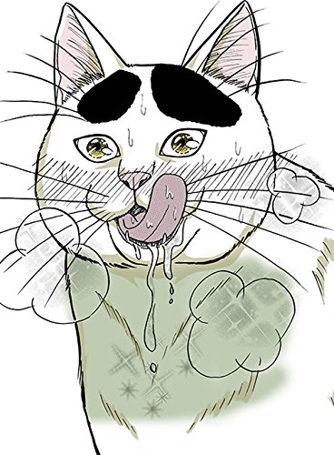 めしねこ 大江戸食楽猫物語 (1)