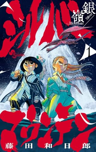 シルバーマウンテン (1)