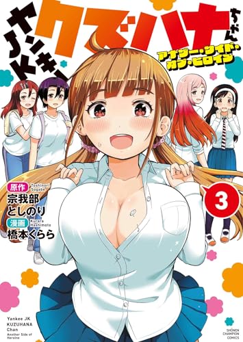 ヤンキーJKクズハナちゃん アナザー・サイド・オブ・ヒロイン 3 (3)