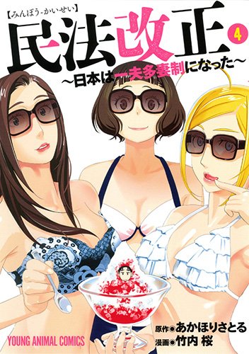 民法改正~日本は一夫多妻制になった~ (4)