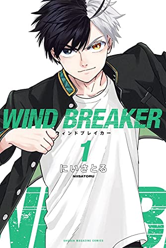 WIND BREAKER (1)