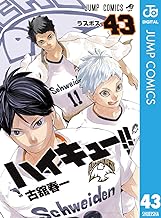 ハイキュー!! (43)