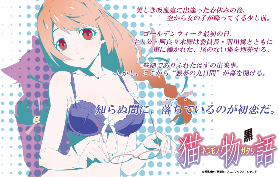 ニコニコチャンネル　猫物語(黒)　第一話「つばさファミリー 其ノ壹」