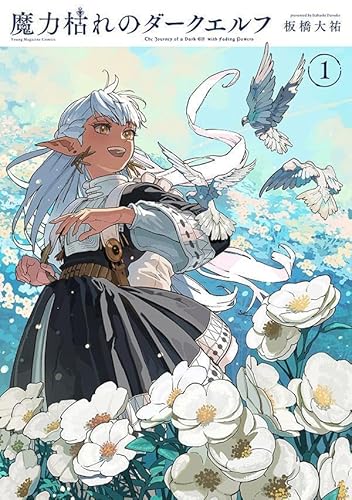 魔力枯れのダークエルフ (1)