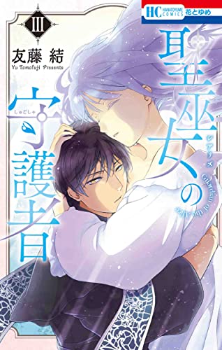 聖巫女の守護者 (3)