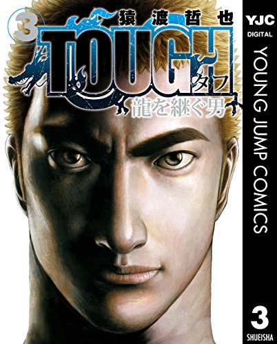 TOUGH 龍を継ぐ男 (3)