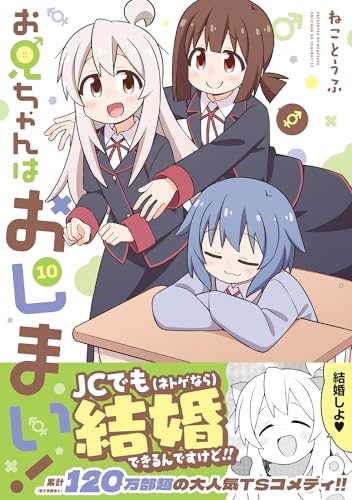 お兄ちゃんはおしまい！ (10)
