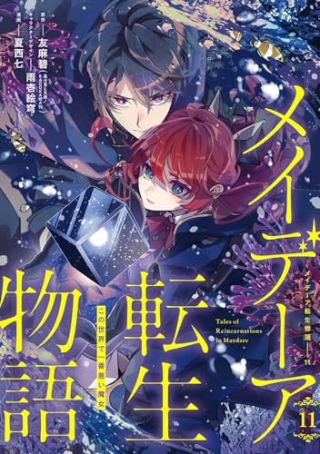 メイデーア転生物語 この世界で一番悪い魔女 (11)