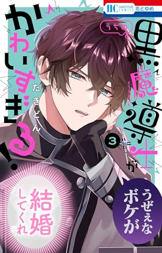 うちの黒魔導士がかわいすぎる! (3)