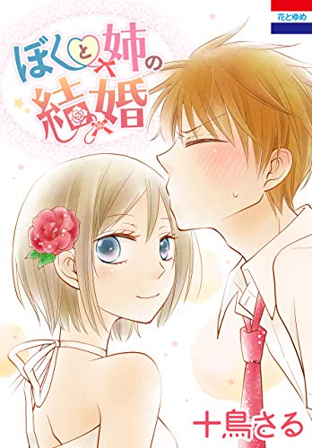 ぼくと姉の結婚