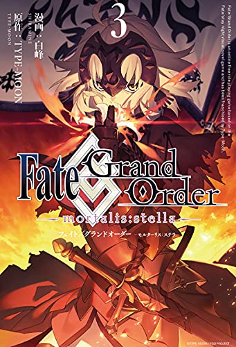 Fate/Grand Order -mortalis:stella- (3)