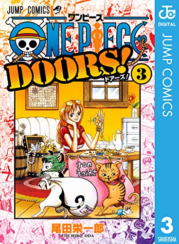 ONE PIECE DOORS! (3)