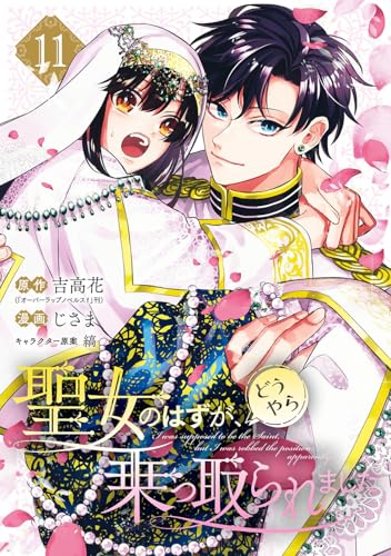 聖女のはずが、どうやら乗っ取られました (11)