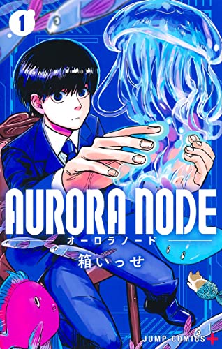 AURORA NODE (1)