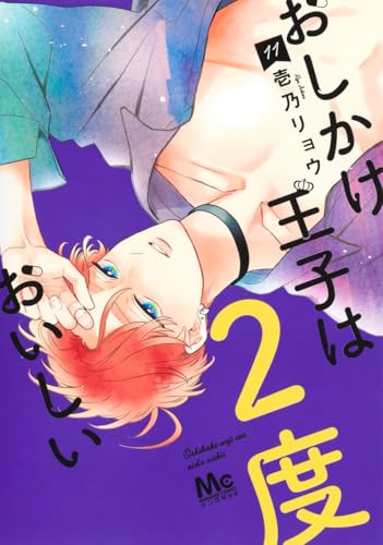 おしかけ王子は2度おいしい (11)