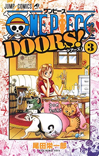 ONE PIECE DOORS! (3)