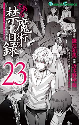 とある魔術の禁書目録 (23)