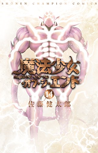 魔法少女・オブ・ジ・エンド (14)