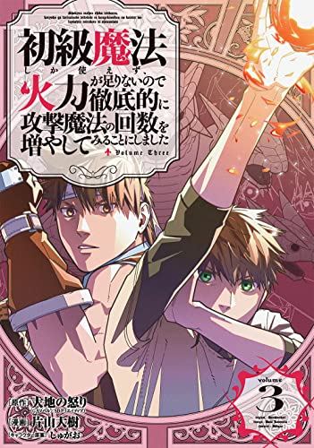 初級魔法しか使えず、火力が足りないので徹底的に攻撃魔法の回数を増やしてみることにしました (3)