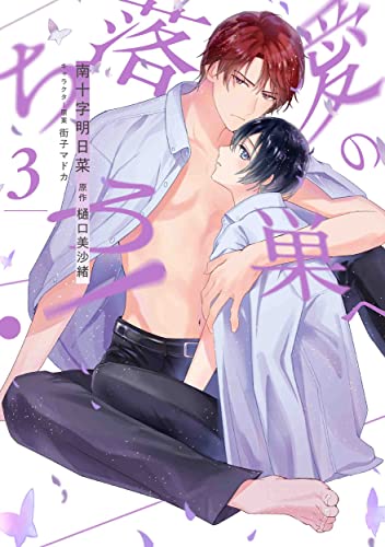 愛の巣へ落ちろ! (3)