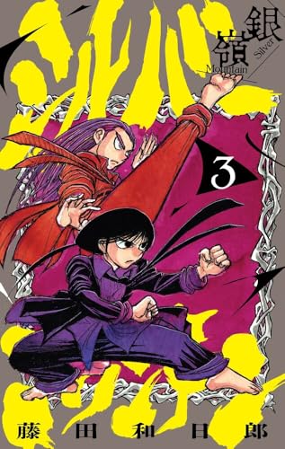 シルバーマウンテン (3)