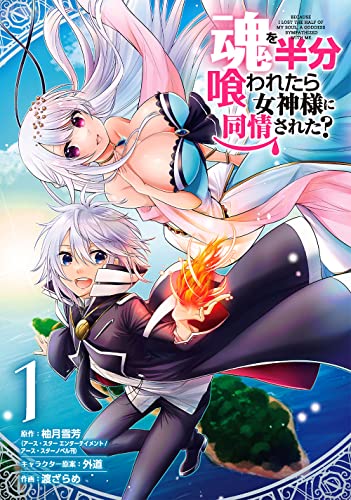 魂を半分喰われたら女神様に同情された? (1)