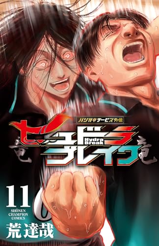 ハリガネサービス外伝ヒュドラブレイク 11 (11)