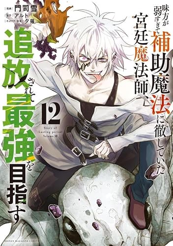 味方が弱すぎて補助魔法に徹していた宮廷魔法師、追放されて最強を目指す (12)