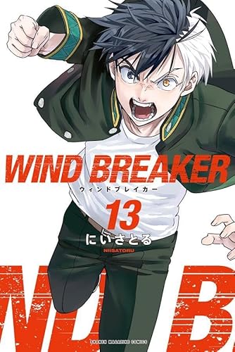 WIND BREAKER (13)