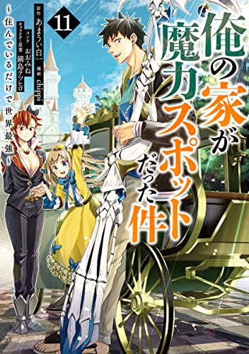 俺の家が魔力スポットだった件~住んでいるだけで世界最強~ (11)