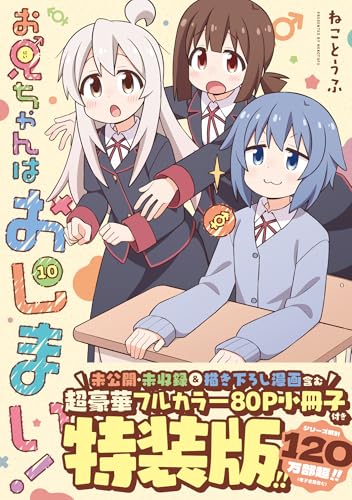お兄ちゃんはおしまい！ (10) 特装版