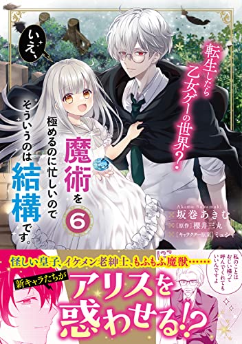 転生したら乙女ゲーの世界? いえ、魔術を極めるのに忙しいのでそういうのは結構です。 (6)