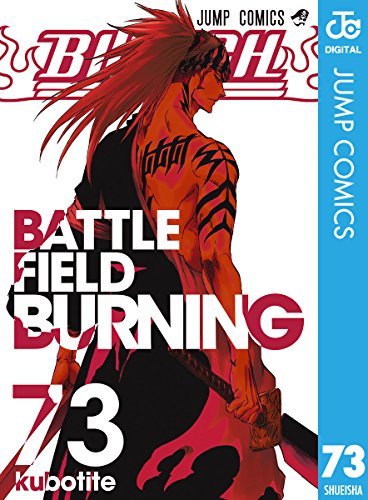 BLEACH モノクロ版 (73)