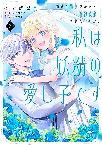 義妹が聖女だからと婚約破棄されましたが、私は妖精の愛し子です (3)