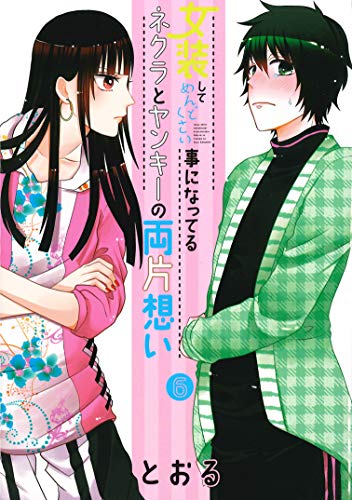 女装してめんどくさい事になってるネクラとヤンキーの両片想い (6)