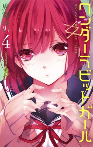 ワンダーラビットガール (4)