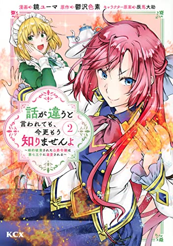話が違うと言われても、今更もう知りませんよ ~婚約破棄された公爵令嬢は第七王子に溺愛される~ (2)