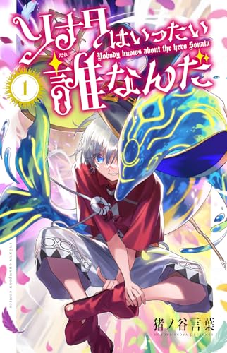 ソナタはいったい誰なんだ 1 (1)