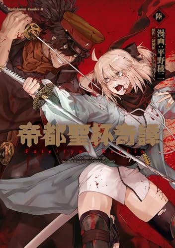 帝都聖杯奇譚 Fate/type Redline (6)