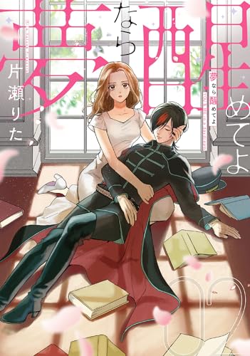 夢なら醒めてよ (2)