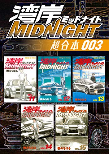 湾岸ＭＩＤＮＩＧＨＴ 超合本版 (3)