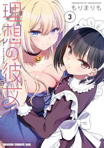 理想の彼女 (3)