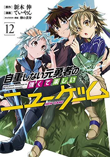 自重しない元勇者の強くて楽しいニューゲーム (12)