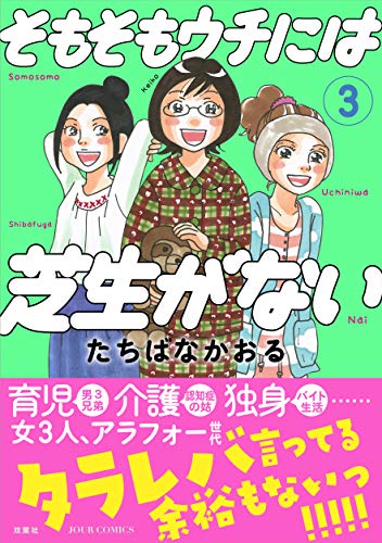 そもそもウチには芝生がない ： (3)